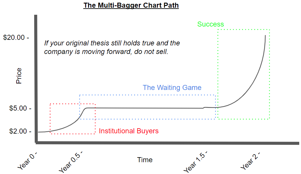 How to Trade a Potential Multi-Bagger Company